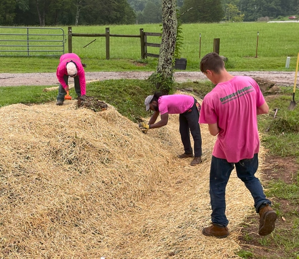 Pine Straw Installation Guide for Refreshing Business Landscapes