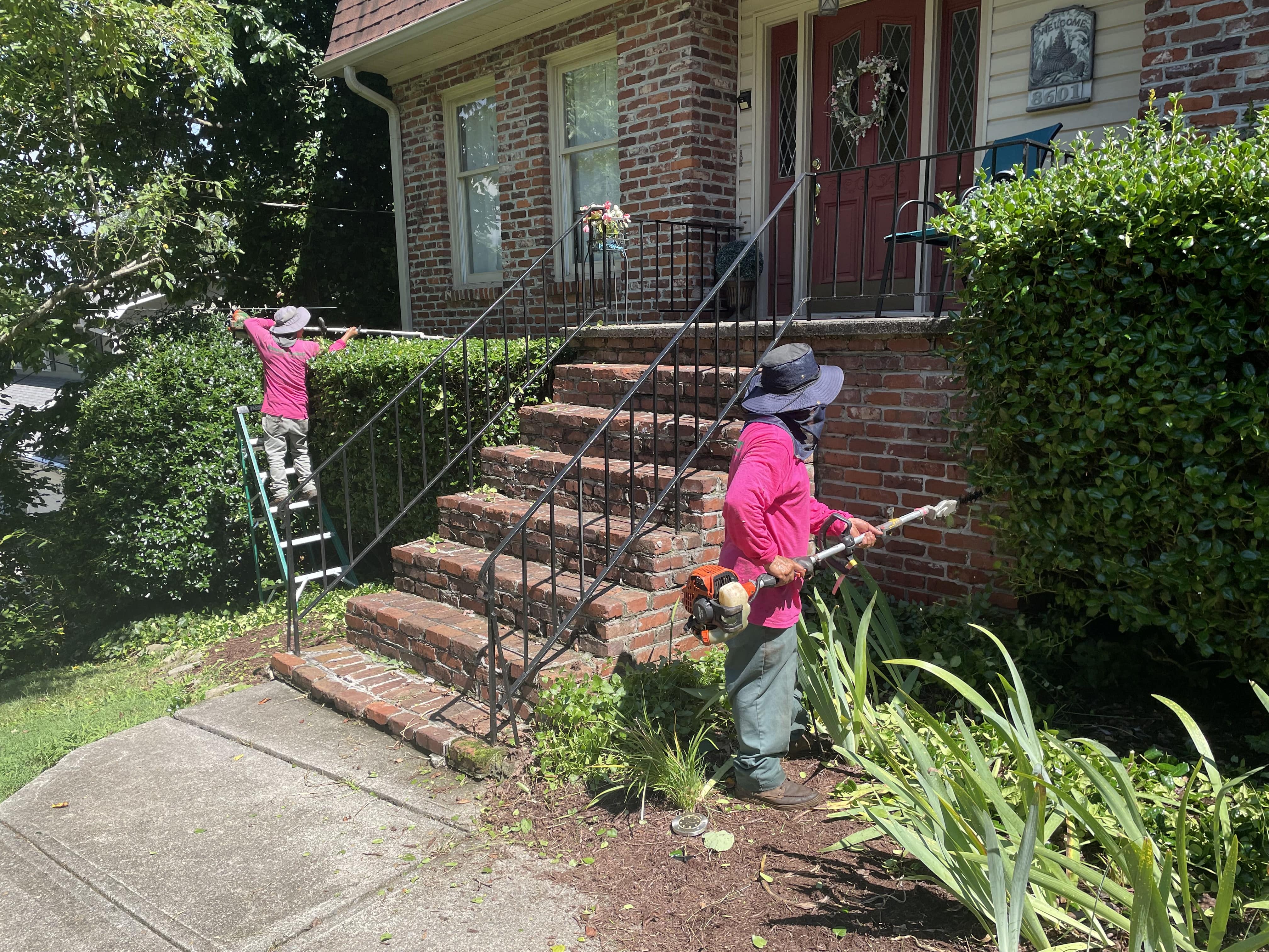 Dempster Brother's trimming and pruning
