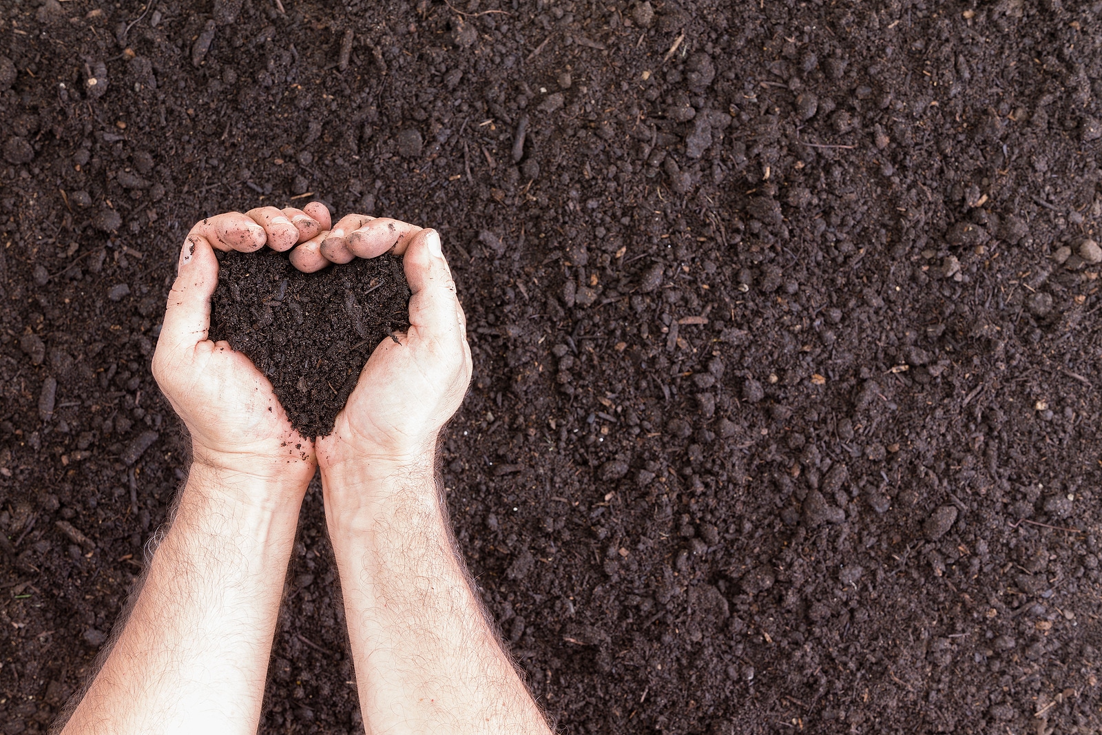 Soil Health 101