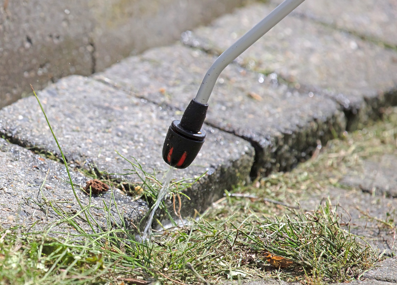 Fall weed control