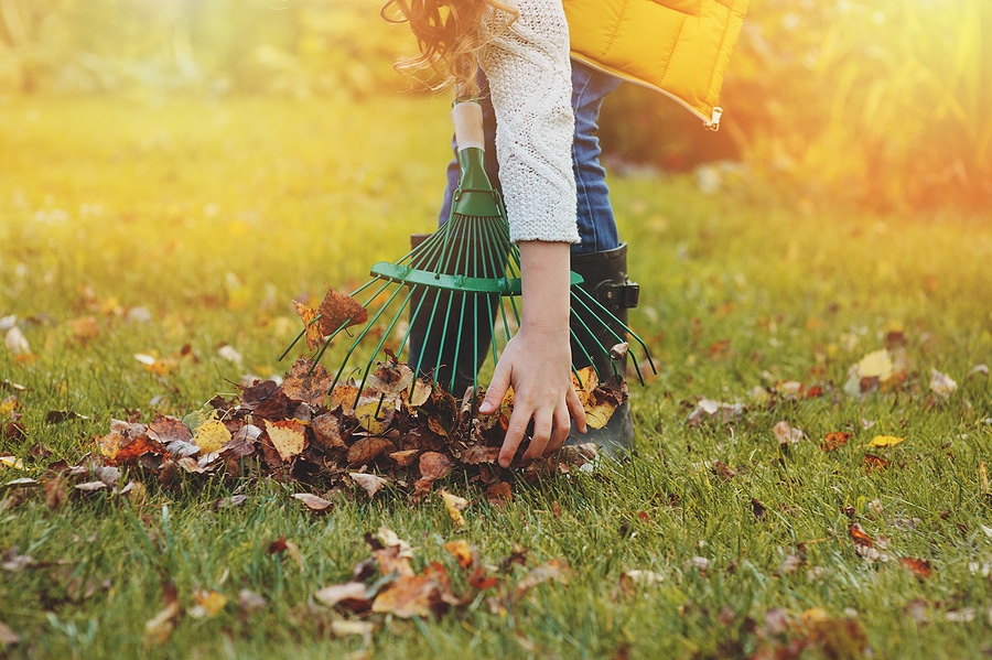 Leaf Removal Hacks for Busy Fall Schedules